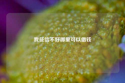 我征信不好哪里可以借钱